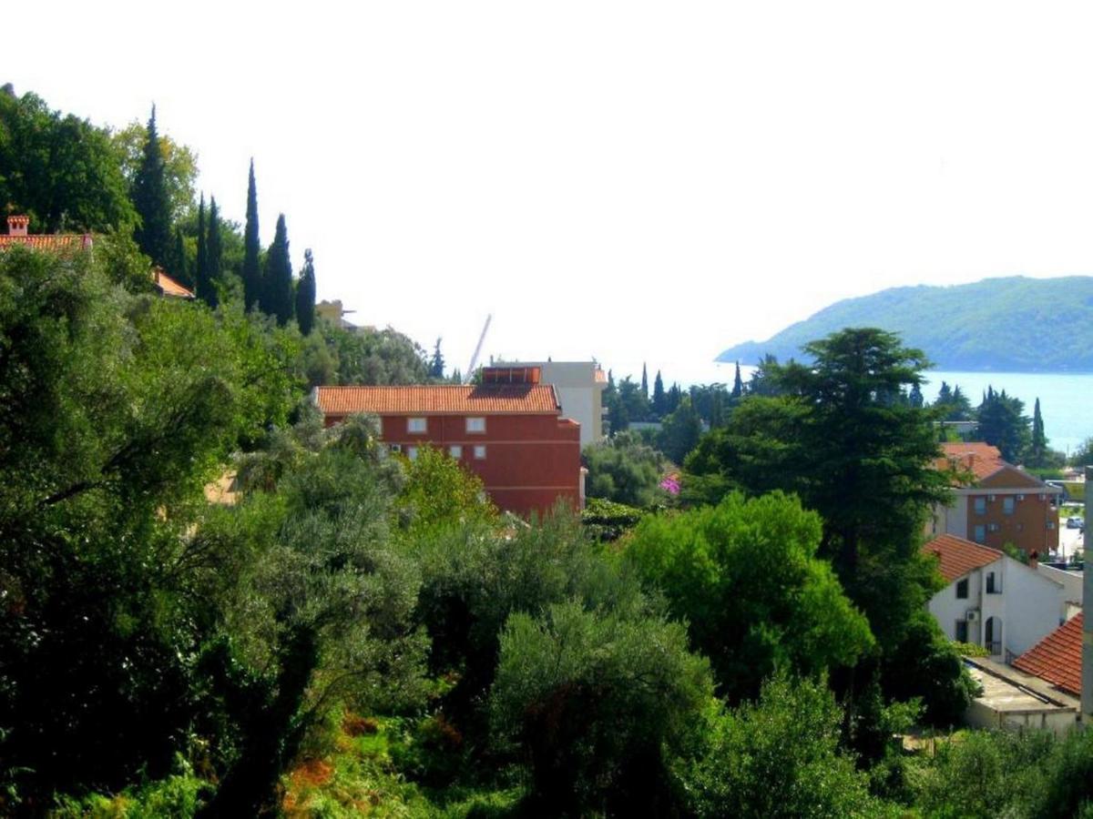 Villa Seka Budva Exterior foto